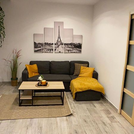 索恩河畔沙隆Le Duplex De Paris公寓 外观 照片